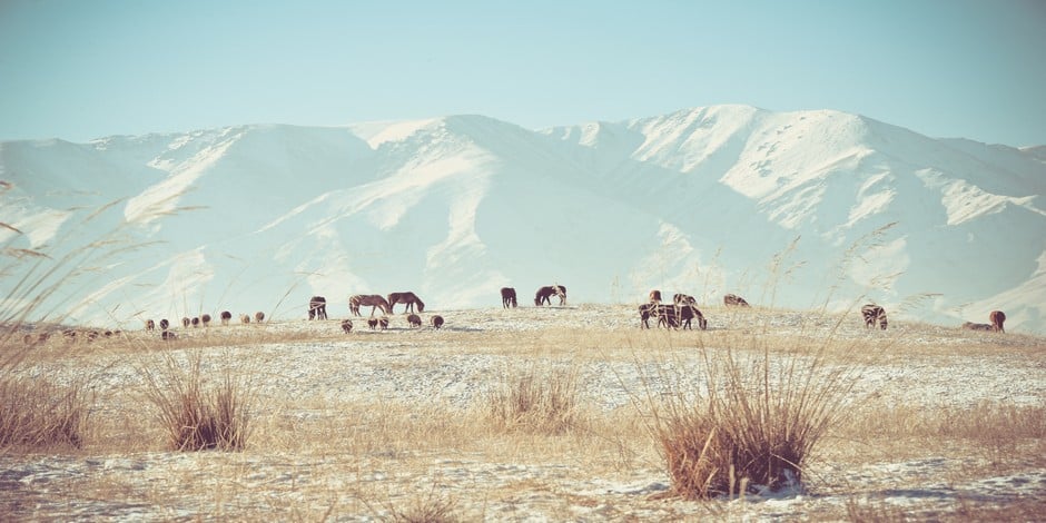 Montagnes du Kazakhstan